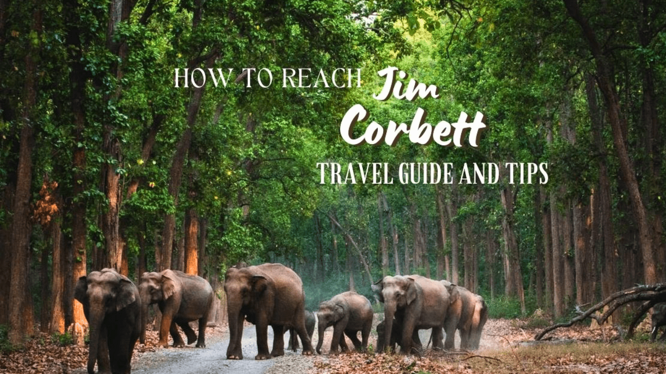 educational tours jim corbett 